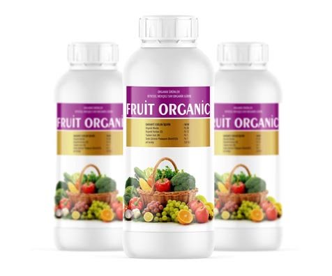 Fruit Organic